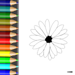 Download PDF Ausmalbild Blumenblüte Malvorlagen Blumen Blüte3