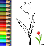 Download PDF Ausmalbild Tulpenblüte Malvorlagen Blumen Tulpe2