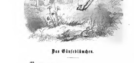Das Gänseblümchen Märchen von Hans Christian Andersen. Deutung, Analyse, Interpretation, Inhalt: "Draußen auf dem Lande, dicht am Wege, lag ein Landhaus..."