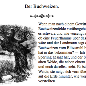 Der Buchweizen (H. C. Andersen) | BabyDuda » Andersens Märchen