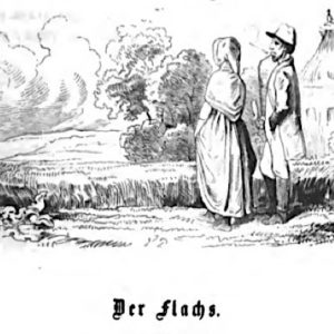 Der Flachs | Märchensammlung: H. C. Andersen »Sämmtliche Märchen« (1863)