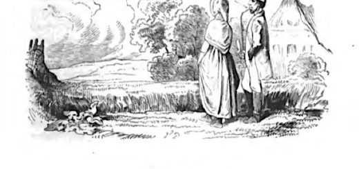 Der Flachs Hans Christian Andersen – Märchen Hörbuch. "Der Flachs blühte. Er hat [...]" Inhalt, Zusammenfassung, Text, Original, Analyse, Deutung