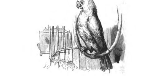 Die Galoschen des Gluecks Analyse Maerchen Andersen