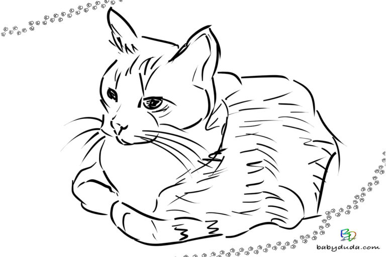 Ausmalbilder Katzen & Kätzchen - Katzenvorlagen | BabyDuda » Malbuch