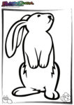 Osterhase Malvorlage