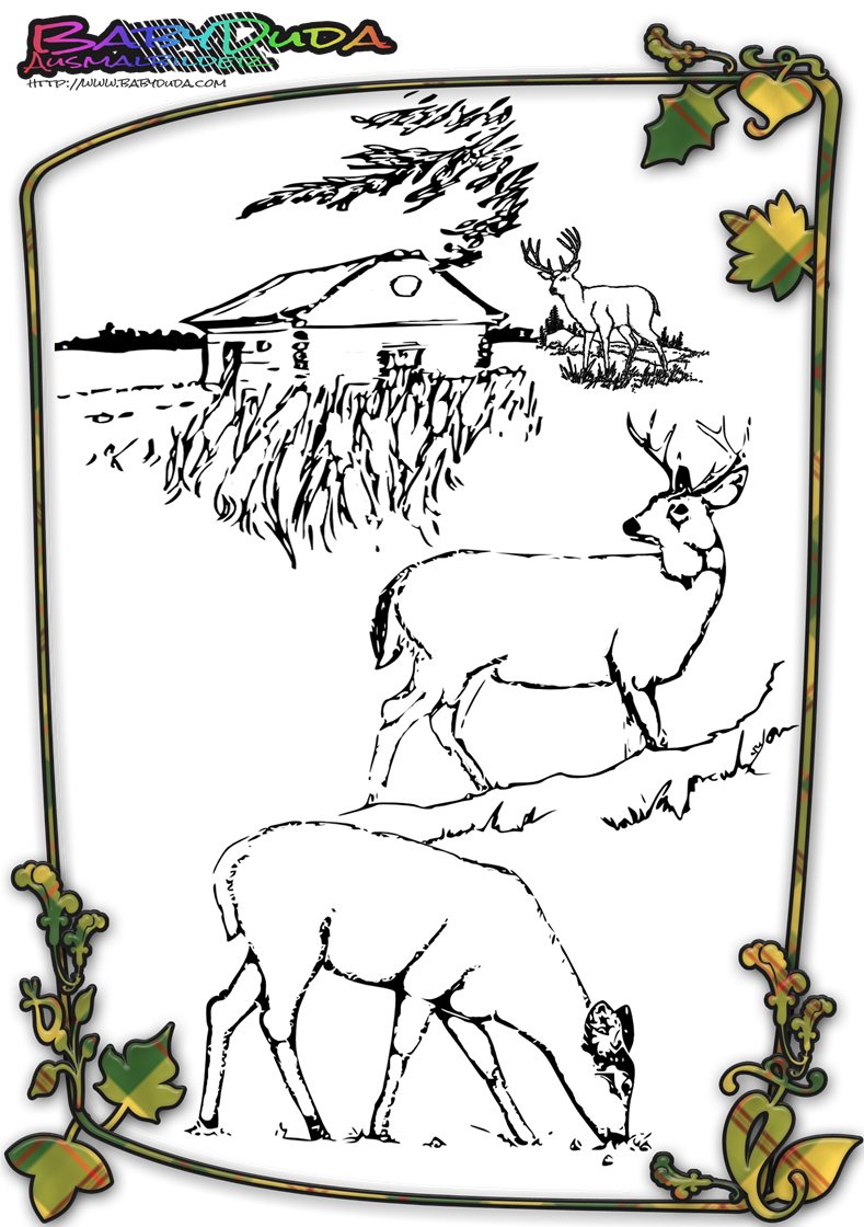 Herbst Ausmalbilder Herbstmotiv Herbstlaub Tiere BabyDuda Malbuch Herbst Ausmalbilder Herbstmotiv Herbstlaub Tiere BabyDuda Malbuch