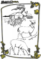Herbst Tiere Ausmalbild Hirsch Malvorlagen Tierbilder - Tiere im Herbst Ausmalen. Malbuch mit Vorlagen mit tollen Waldtieren: Eichhörnchen, Schnecke, Reh, Hirsch, Igel im Herbstwald.