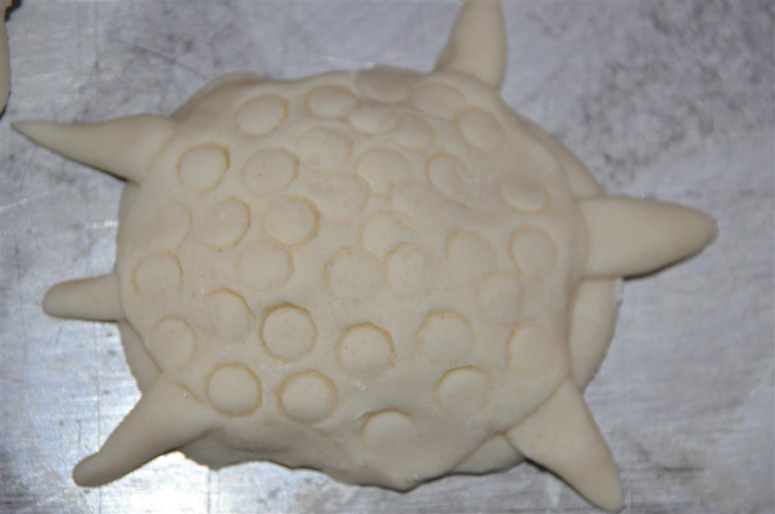 Kreatives Basteln mit Salzteig - Schildkroete