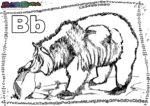 ABC Tiere Ausmalen Buchstabe B-Bär