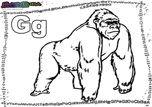 Malbild Tier ABC Buchstabe G-Gorilla