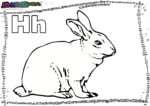 ABC-Buchstabe-H-Hase