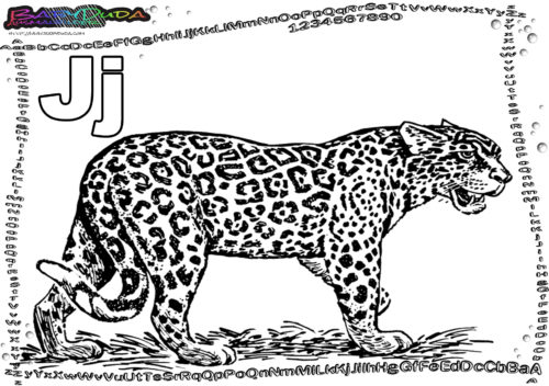ABC Ausmalen Buchstabe J-Jaguar