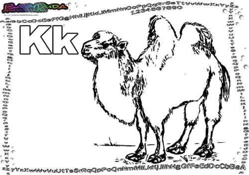 ABC Tiervorlage Buchstabe K-Kamel