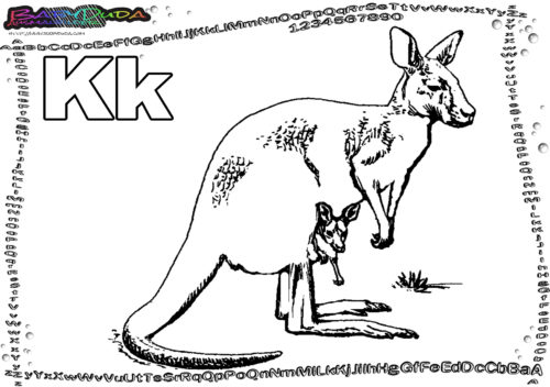 ABC Tieralphabet Buchstabe K-Känguru