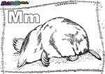 ABC-Buchstabe-M-Maulwurf