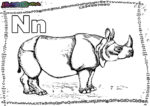 ABC-Buchstabe-N-Nashorn