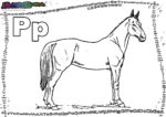 ABC-Buchstabe-P-Pferd