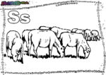 ABC-Buchstabe-S-Schaf