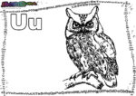 ABC-Buchstabe-U-Uhu