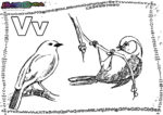 ABC-Buchstabe-V-Vogel