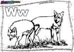 ABC-Buchstabe-W-Wolf
