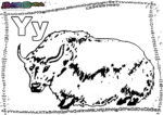 ABC-Buchstabe-Y-Yak