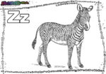 ABC-Buchstabe-Z-Zebra