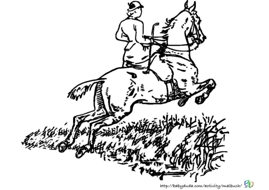 Malvorlage Pferd und Reiterin