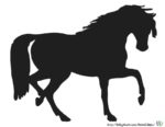 Scherenschnitt Pferd - Pferdesilhouette für Kinder zum Ausschnei