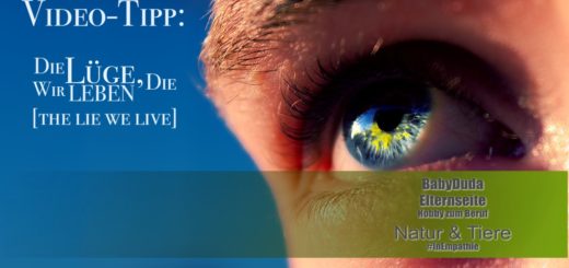 Video von Spencer Cathcart: Die Lüge die wir leben (The Lie We Live). Vermeintliche Freiheit - Freies Handeln verlangt freie Entscheidung aufgrund Informationen. Eine andere Art zu kritisieren, weshalb der Naturschutz zu kurz kommt.