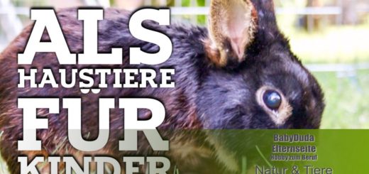 Kaninchen als Haustiere für Kinder. Was sollten Eltern und Kinder wissen, wenn ein Kaninchen ? zur Familie gehören soll. Verantwortung und artgerechte Haltung für ein zufriedenes Zusammenleben. Hase und Kind.