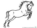 Vorlage Pferd - Ausmalbild Pferde - Bild von Pferd zum Ausmalen. Malvorlagen von Pferden und Ausmalbild Pferde
