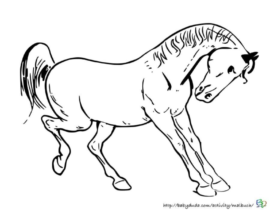 Ausmalbild Pferd