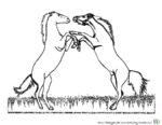 Ausmalbild Pferde - Bild von Pferd zum Ausmalen. Malvorlagen von Pferden und Ausmalbild Pferde