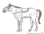 Pferde Ausmalen - Bild von Pferd zum Ausmalen. Malvorlagen von Pferden und Ausmalbild Pferde