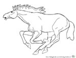 Pferd Malvorlage - Bild von Pferd zum Ausmalen. Malvorlagen von Pferden und Ausmalbild Pferde