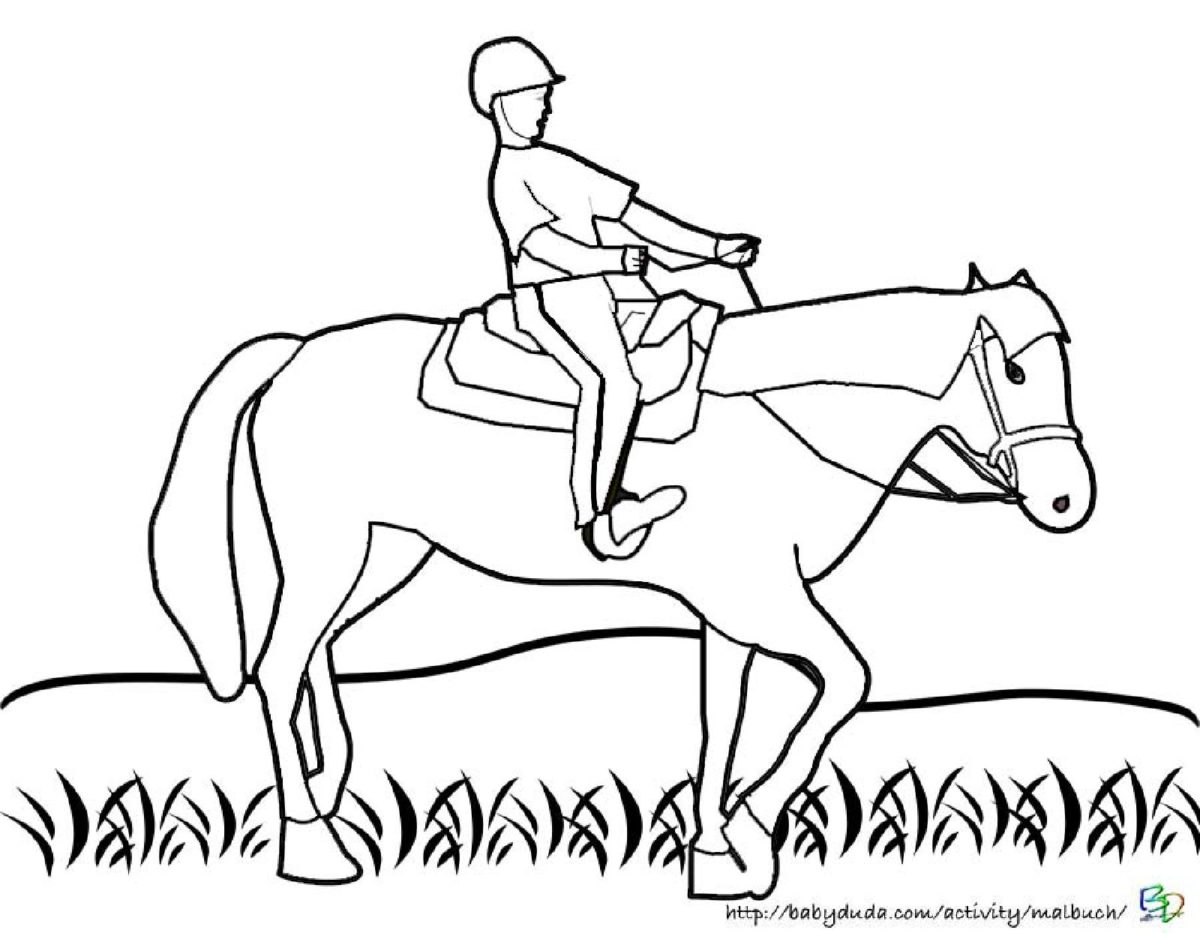 Pferdebilder Ausmalen: Pferdeköpfe Ausmalbilder | BabyDuda » Malbuch