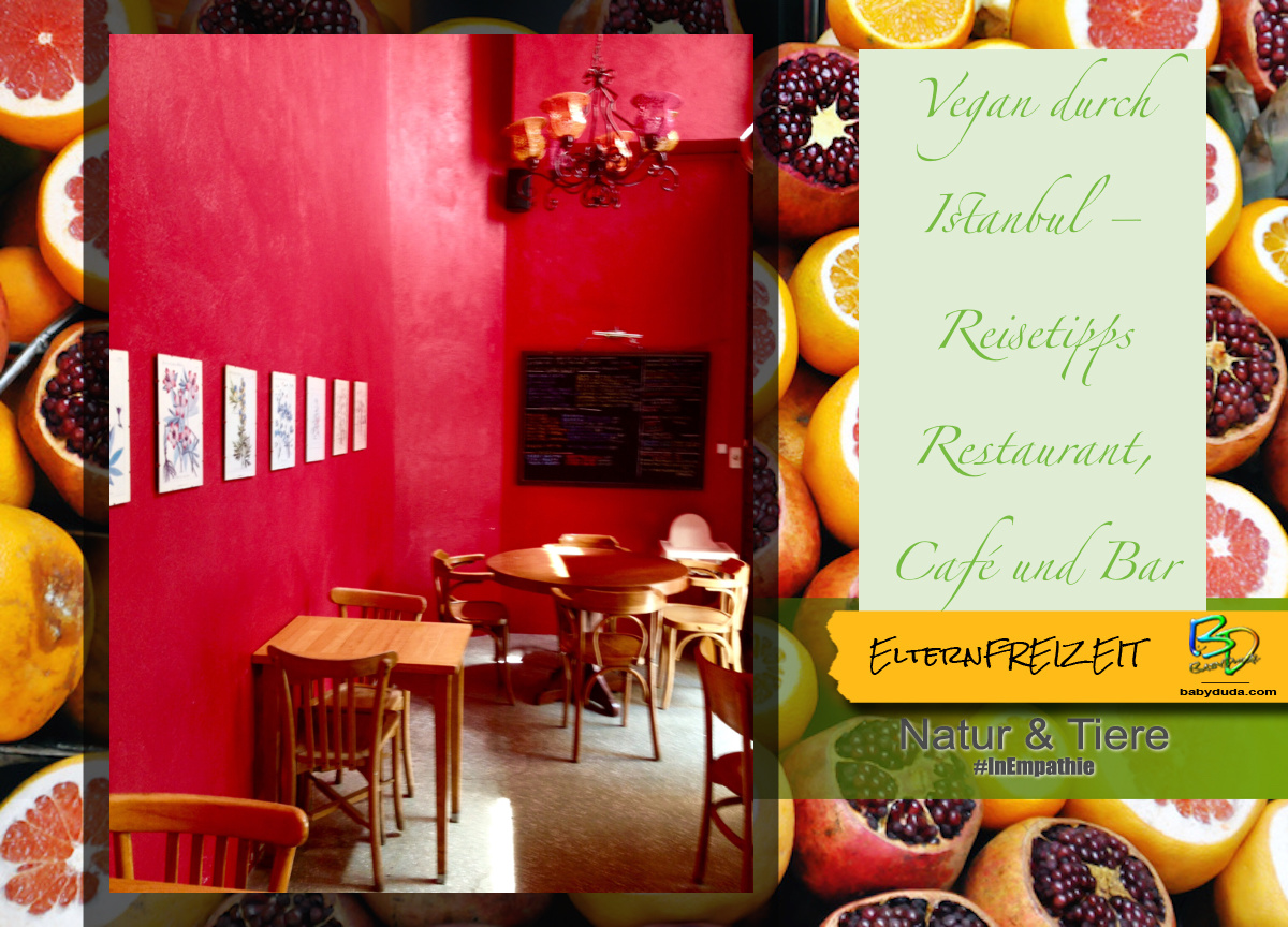 Vegan durch Istambul - Zencefil Vejetaryan Vegan Restoran