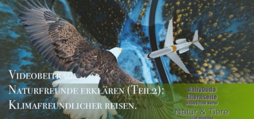 Videobeitrag: Naturfreunde erklären (Teil2):‬ Klimafreundlicher reisen. Was bedeutet "Klimafreundlich Reisen" und welchen Betrag leistet es zum Klimaschutz?