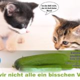 Foto- & Kreativ-Wettbewerb Vegan | Es geht um die Wurst. Unter dem Motto Keine Angst vor der veganen Wurst! ruft VeganTasteWeek zum kreativen Fotowettbewerb