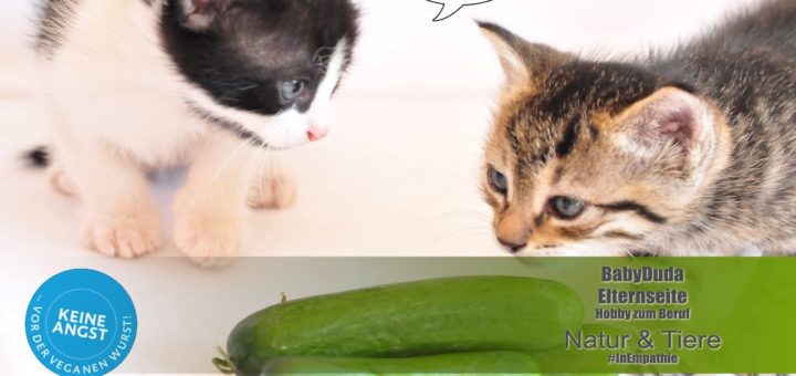 Foto- & Kreativ-Wettbewerb Vegan | Es geht um die Wurst. Unter dem Motto Keine Angst vor der veganen Wurst! ruft VeganTasteWeek zum kreativen Fotowettbewerb