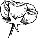 Download PDF Ausmalbild Kelchblätter Vorlage Kelchblatt